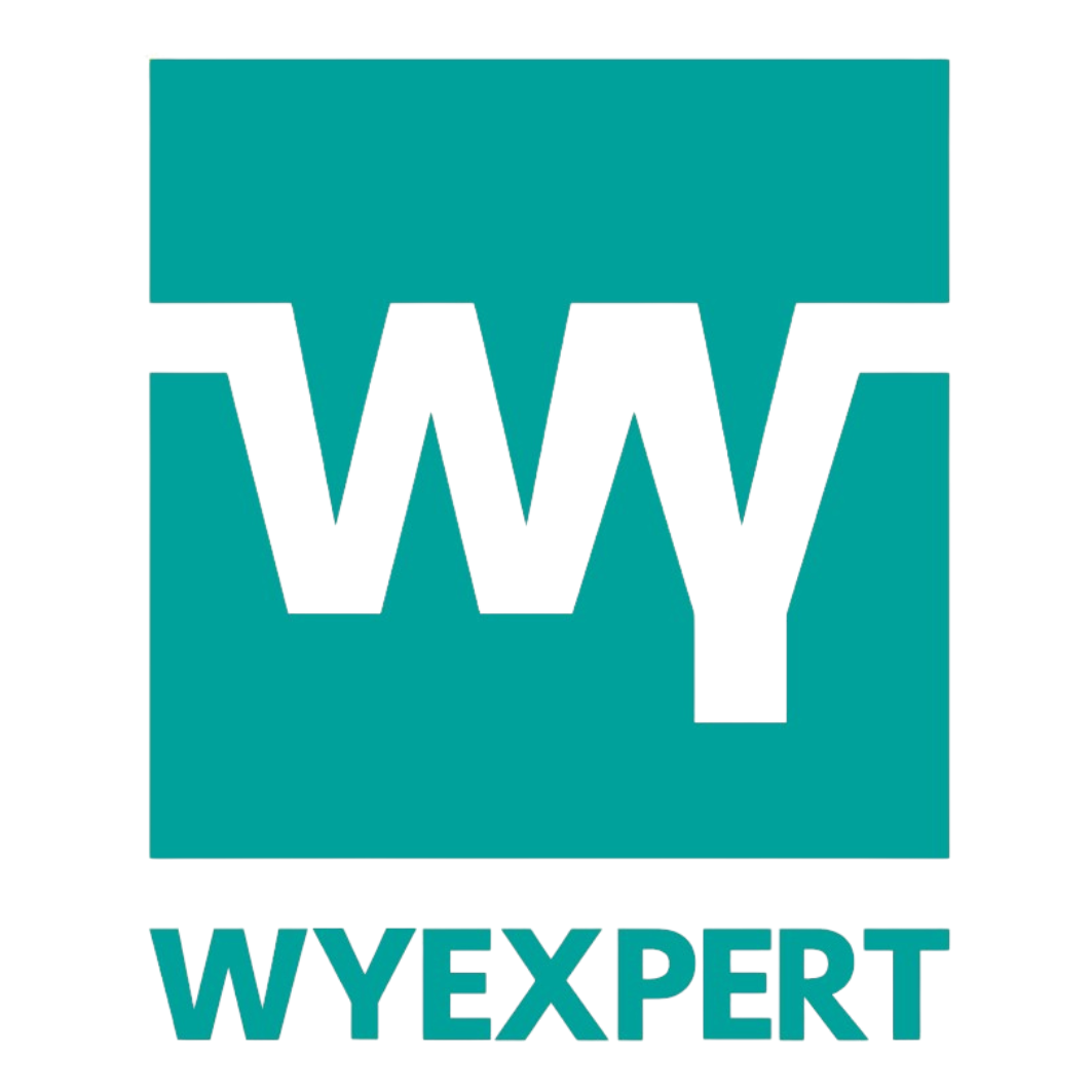 WYEXPERT Logo